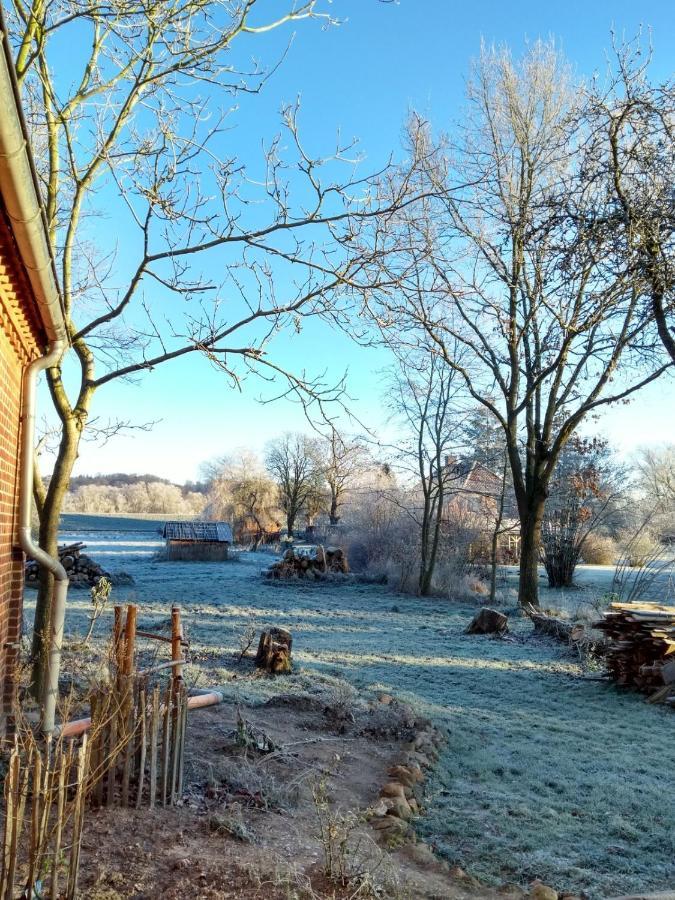 Ferienwohnung Krötenhof Barförde Barforde Exterior foto